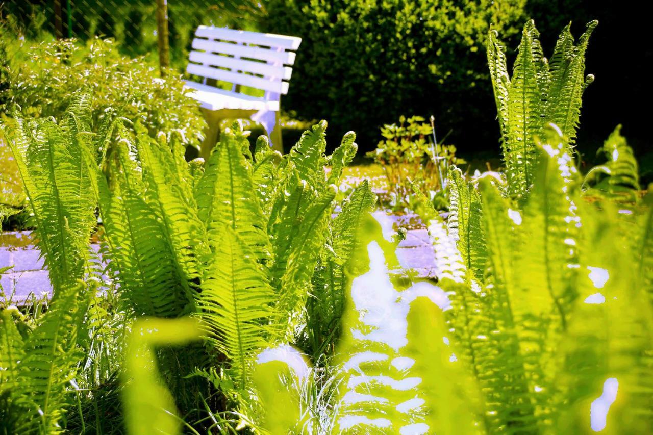 Mitten Im Seenland Und Spreewaldnah, Schoener Garten Шторков Экстерьер фото