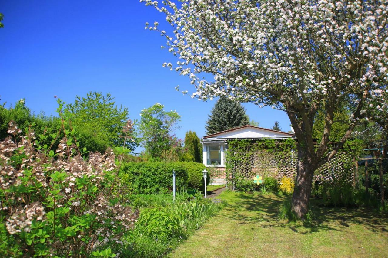 Mitten Im Seenland Und Spreewaldnah, Schoener Garten Шторков Экстерьер фото